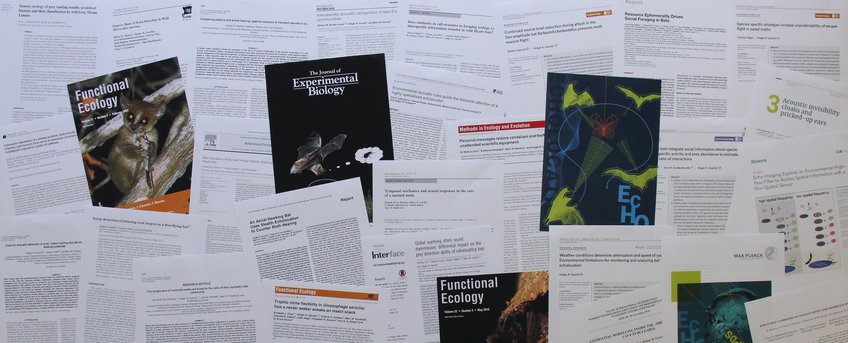 Publikationen der Gruppe "Akustische und Funktionelle Ökologie"